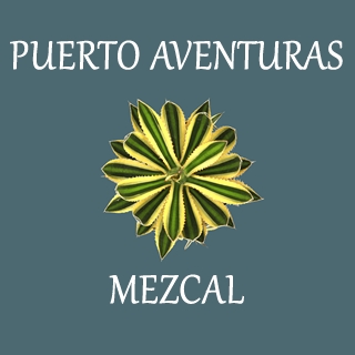 Puerto Aventuras Mezcal